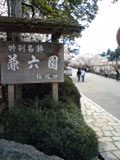金沢桜２.jpg